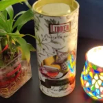 LIDSAFT-D